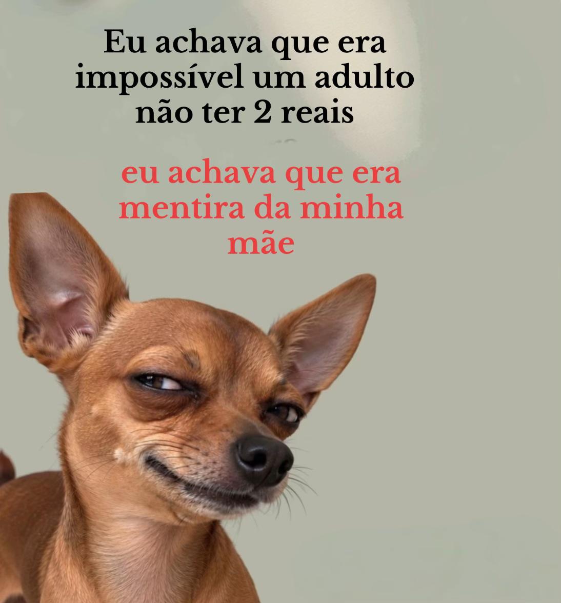 @Paula Vitti