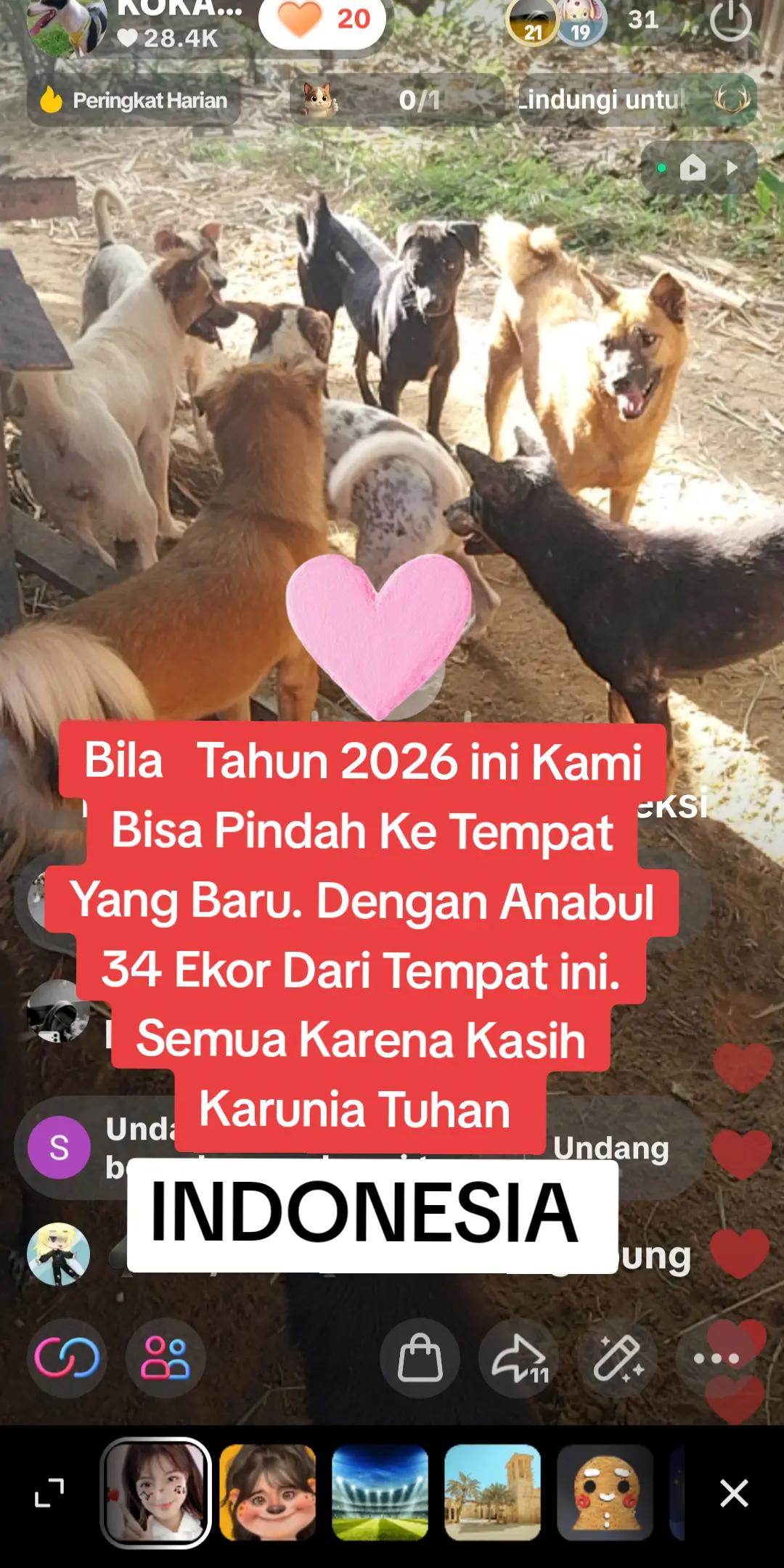 @KOKA_KOLA_FAMILY