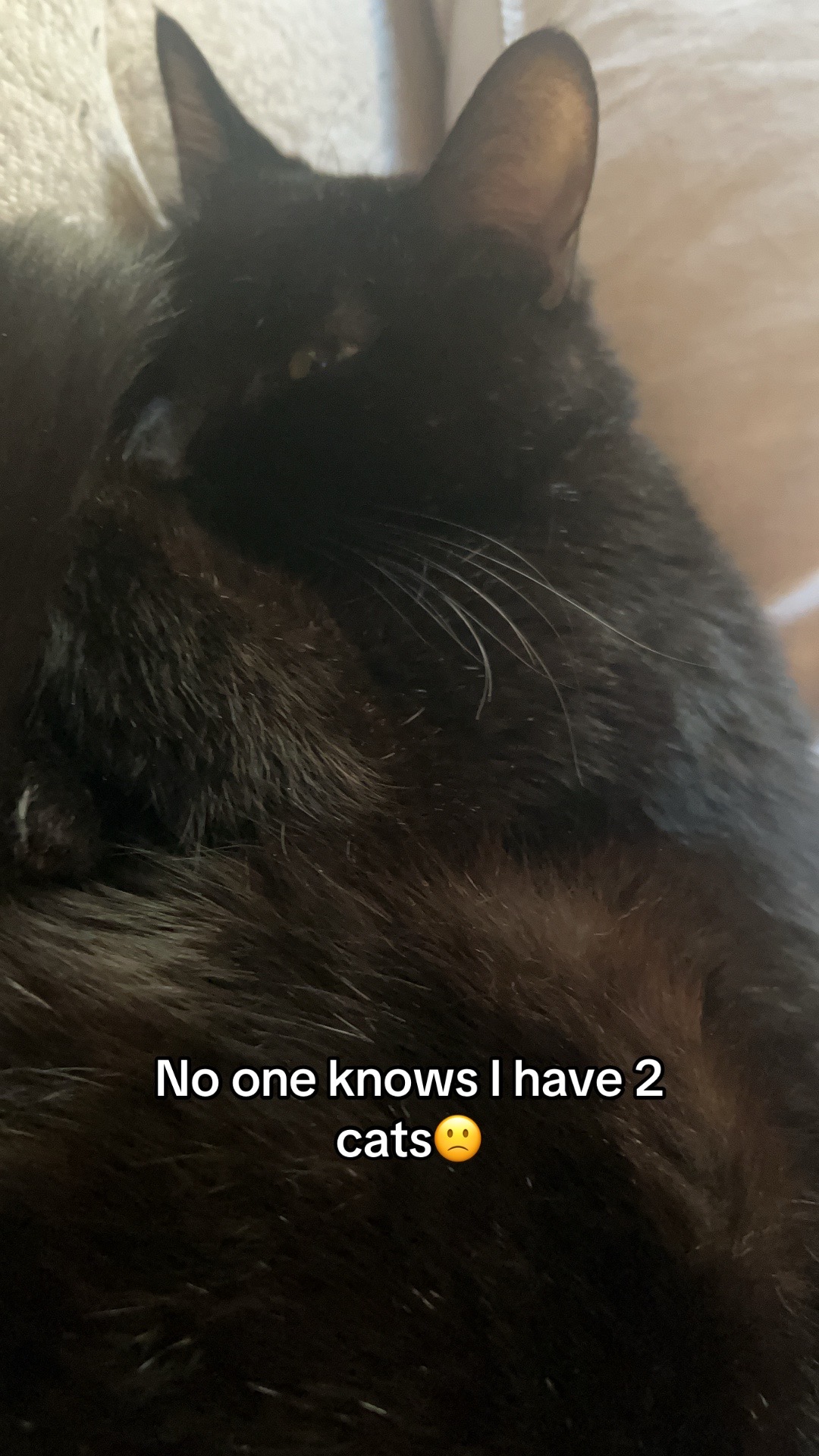 @ℬℯ𝓀𝒶𝒽ꨄ