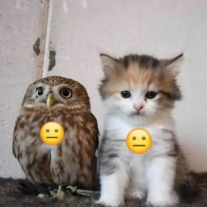 @sad_nott