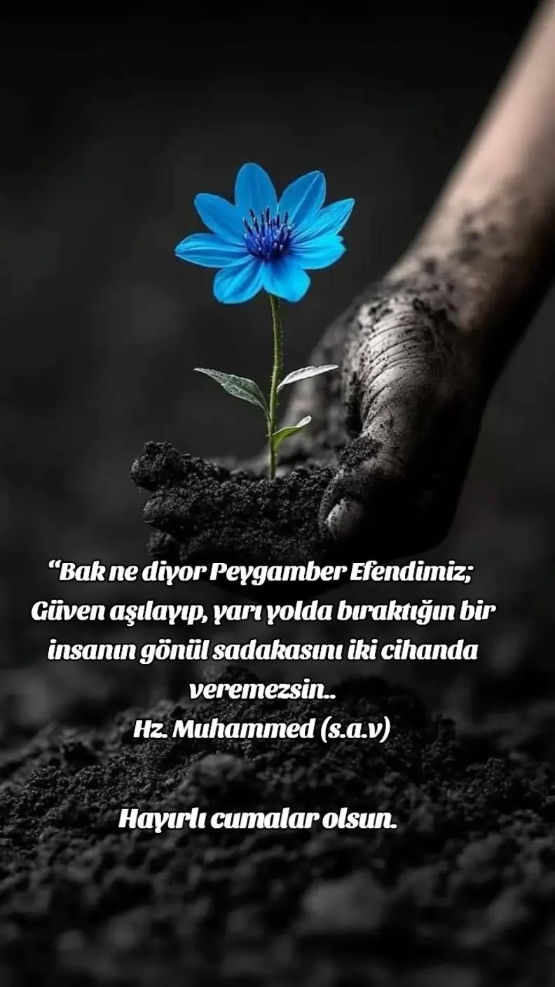 @🇹🇷 Zeynep 🇹🇷