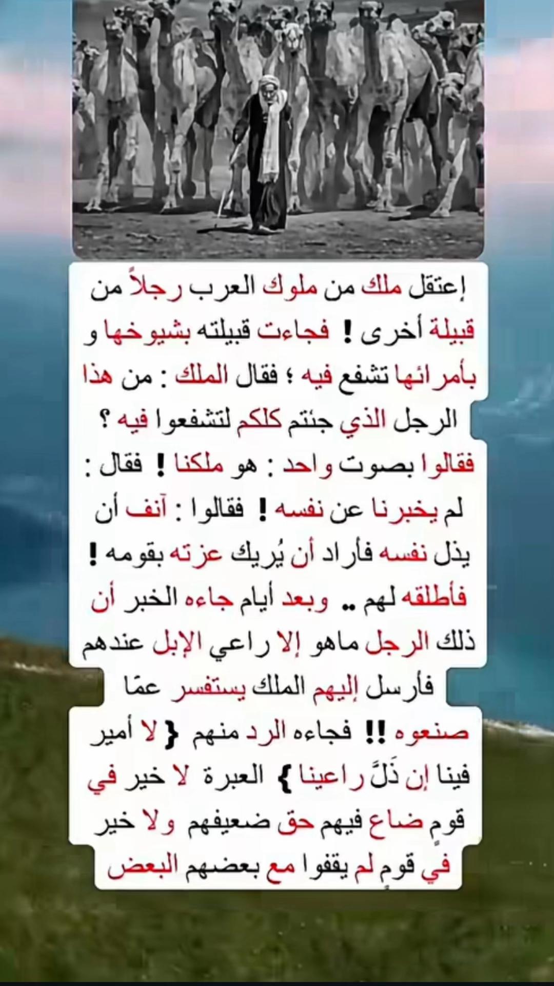 @abodradwan9