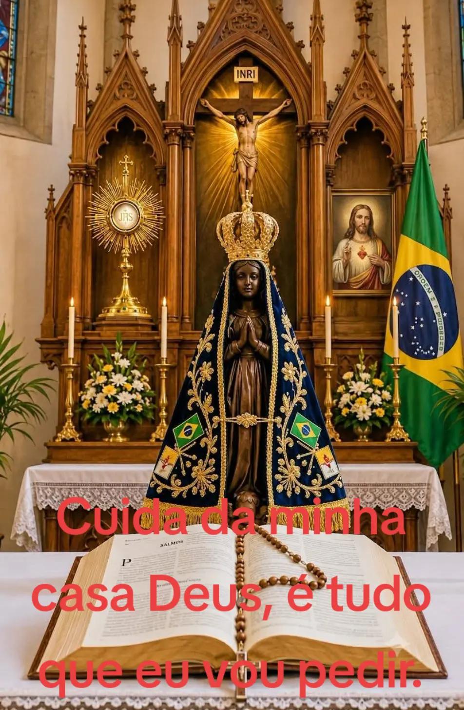 @Alzira Dias
