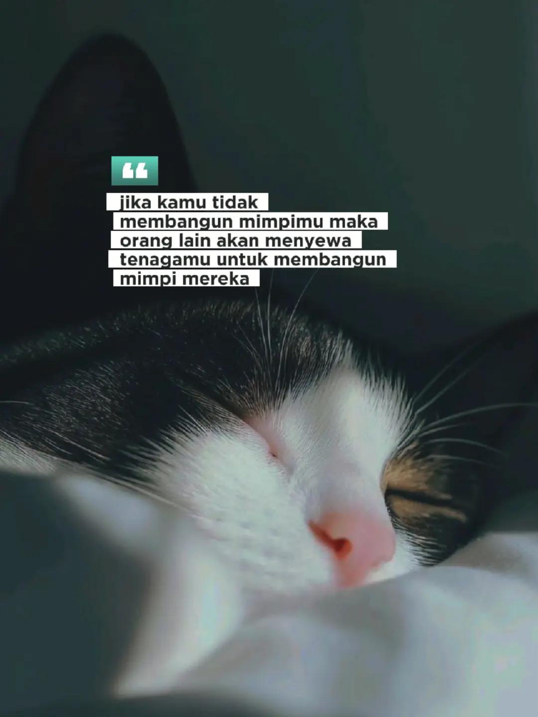 @ɪQʙᴀʟᴘʀᴀᴛᴀᴍᴀ✪