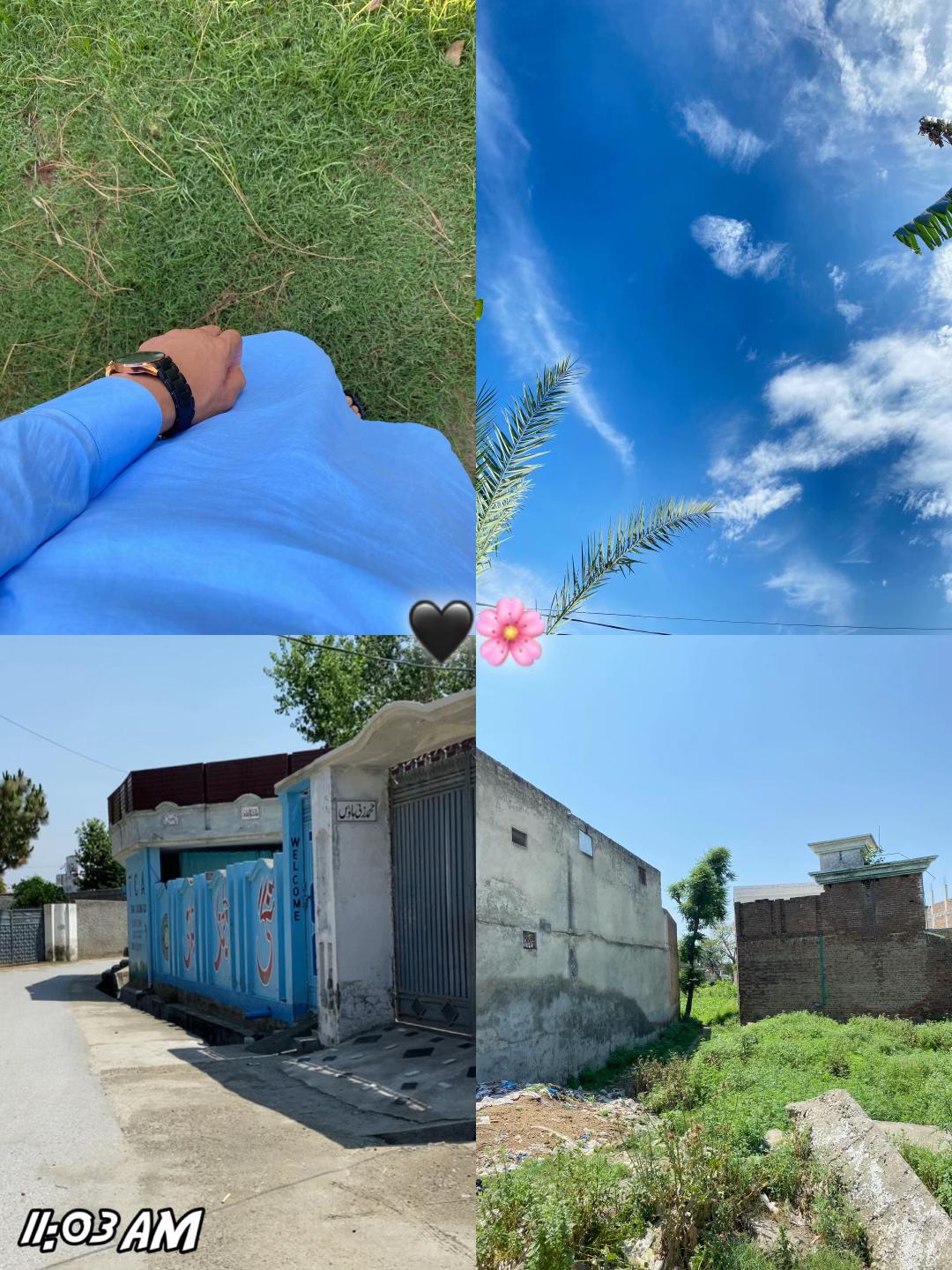 @𝘼𝙣𝙞𝙞𝙨𝙨𝙨 🌸