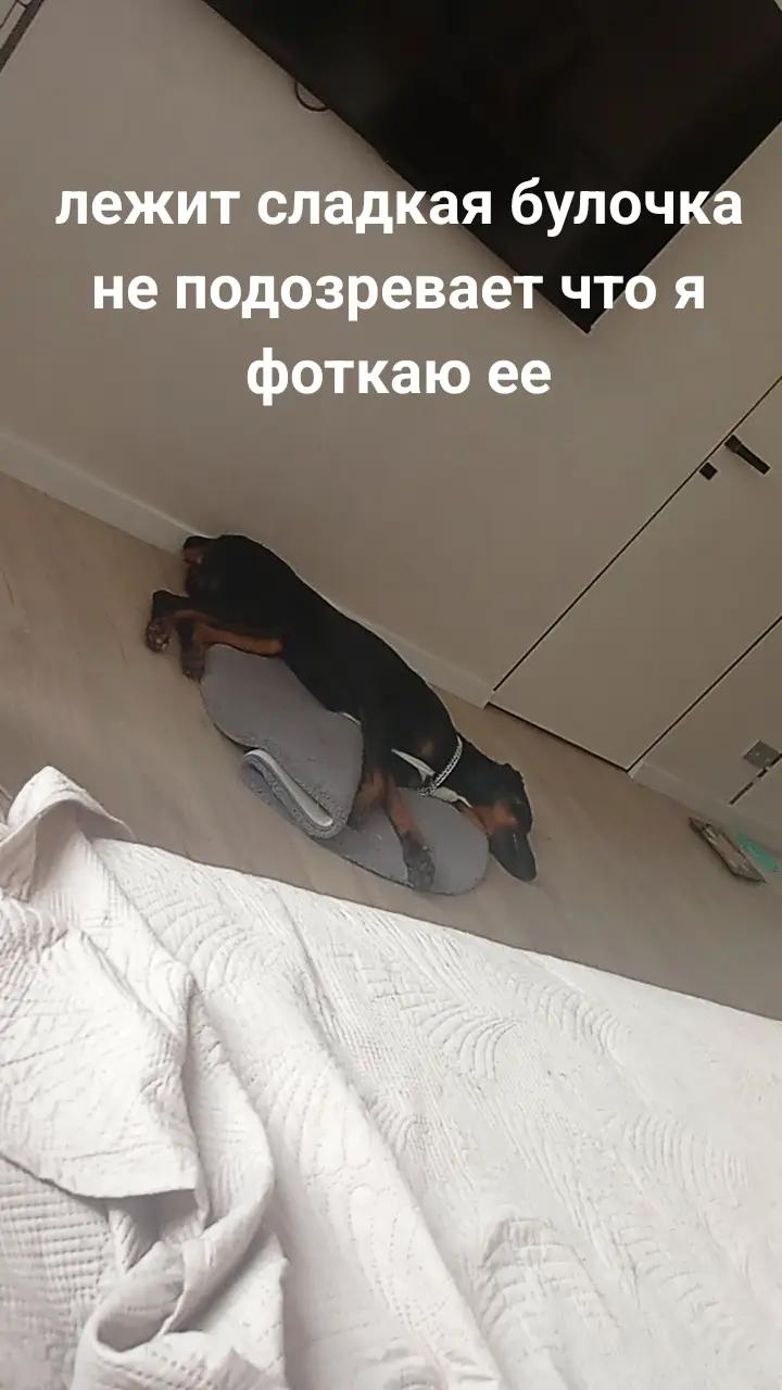 @Челябинск здарова !!! 74🇷🇺