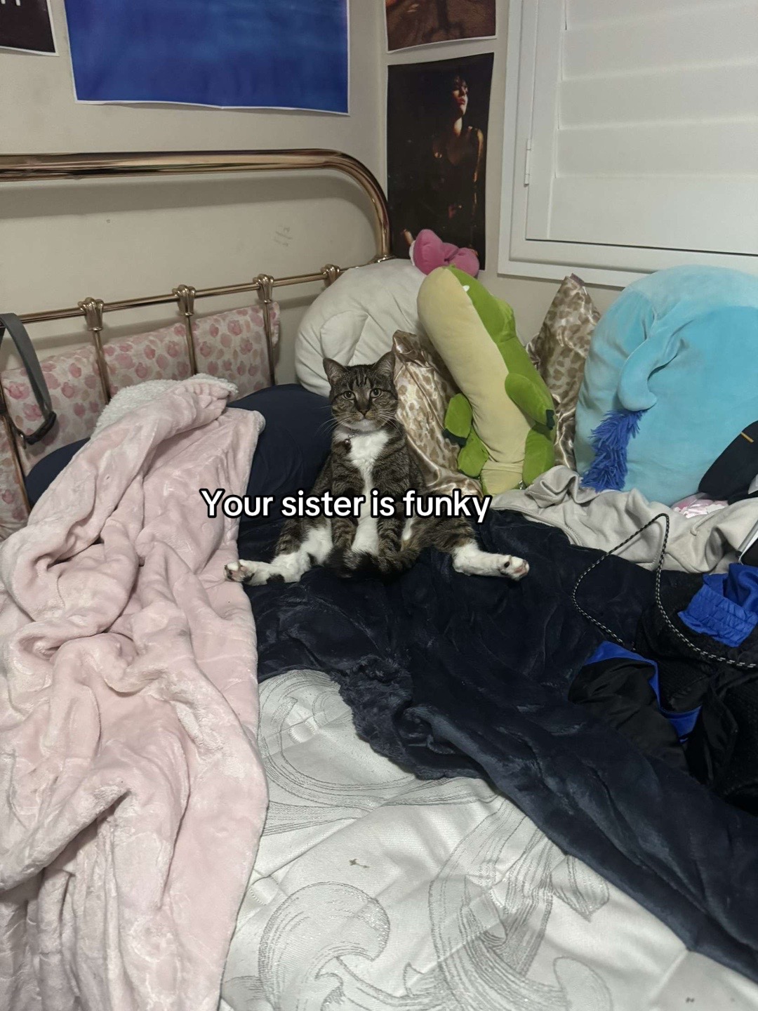 @˚꩜｡ₗₑₐ ˚꩜｡