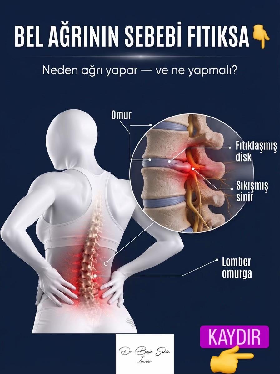 @Dr. Beşir Şahin İnceer