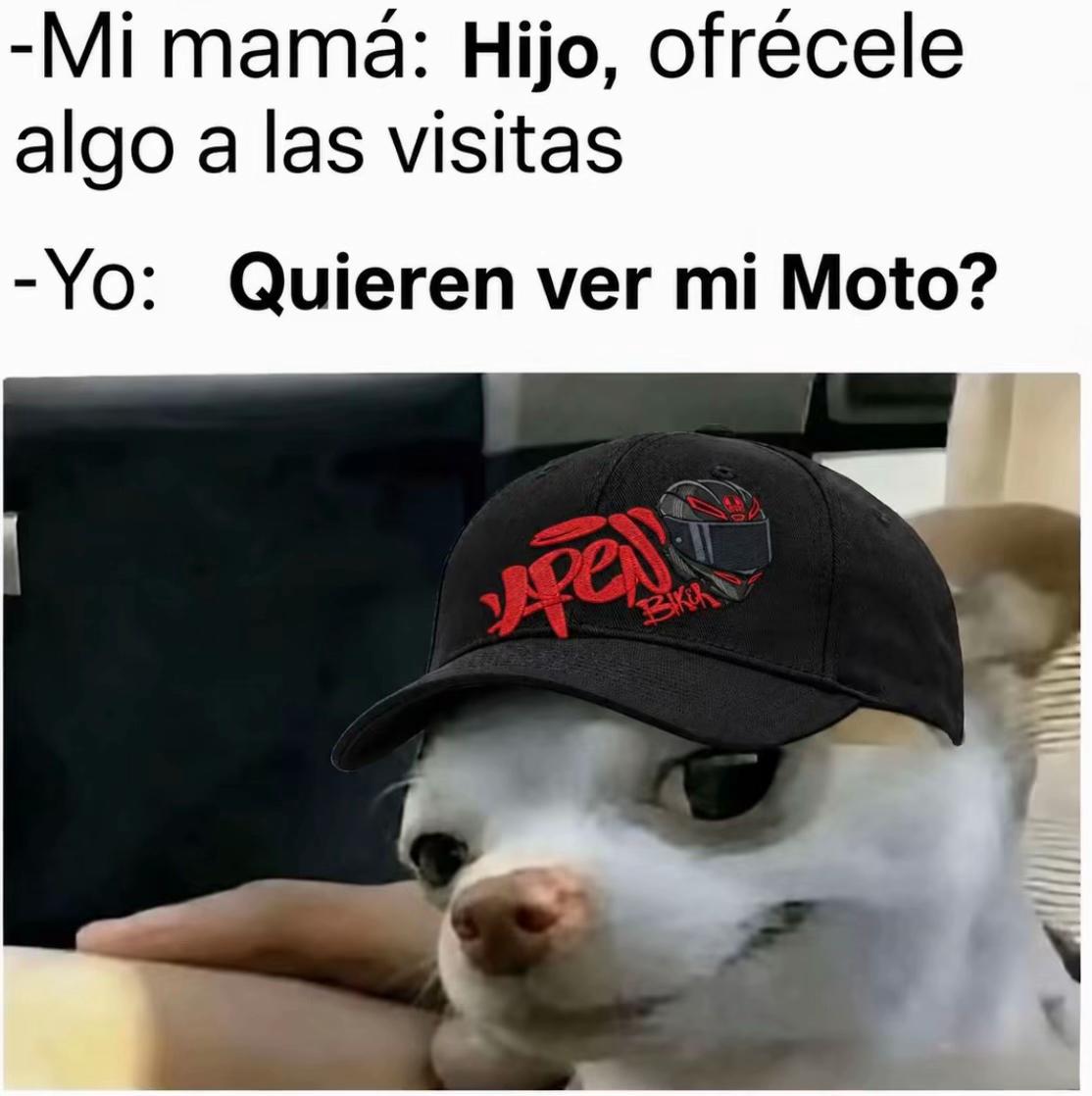 @๐ต๐๐๐x777๐ท๏ธ
