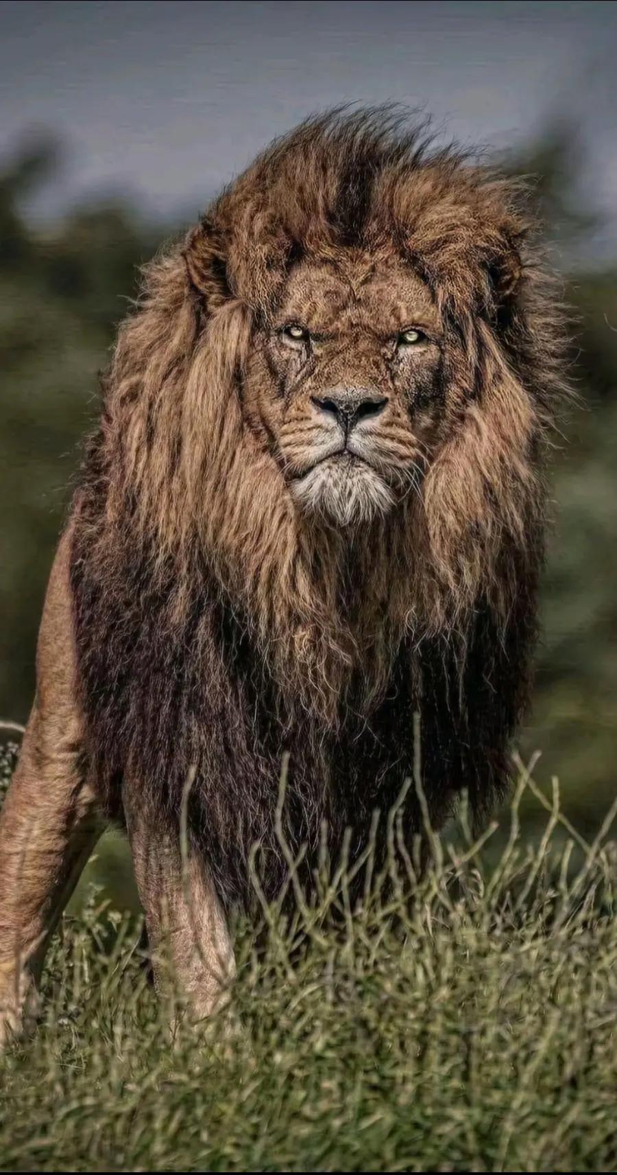 @𝗠𝗥 𝗔𝗕𝗗❕💋