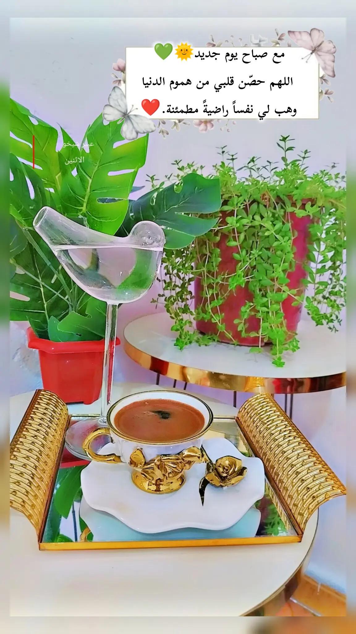 @عبير الورد🍃❤️