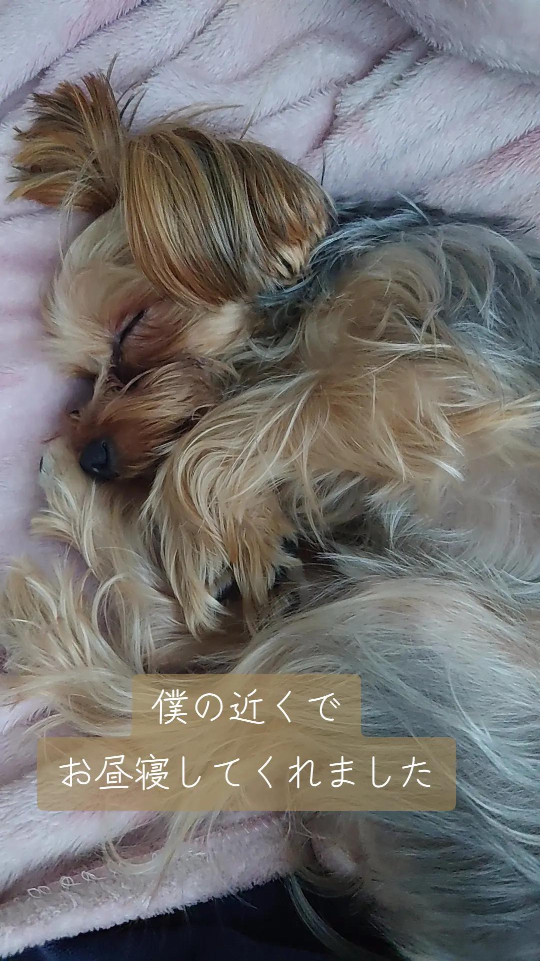 @🌏️🎀最後ののん🎀🌏️