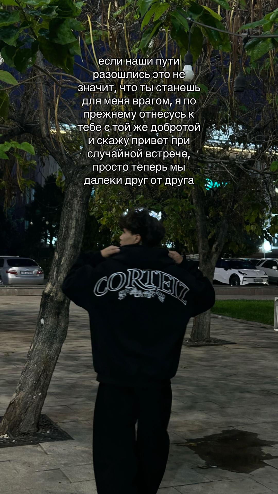 @dimashok🦇