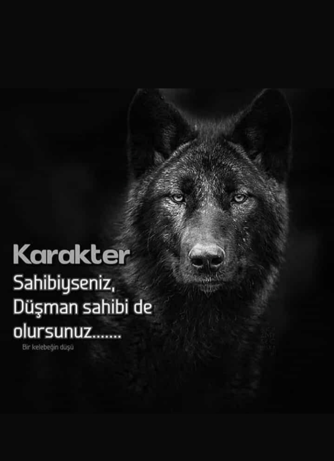@horozcu_31