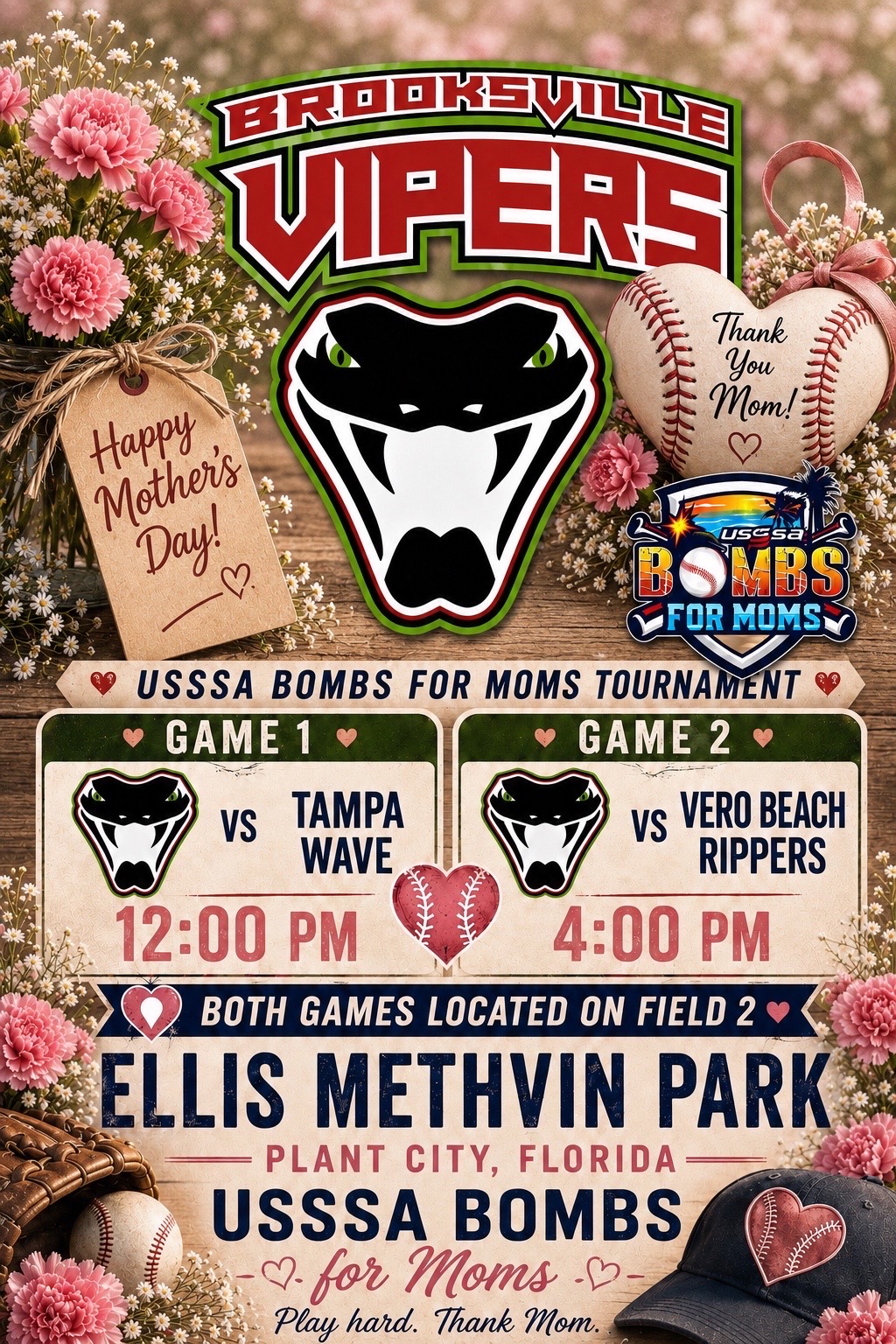 @Brooksville Vipers Baseball