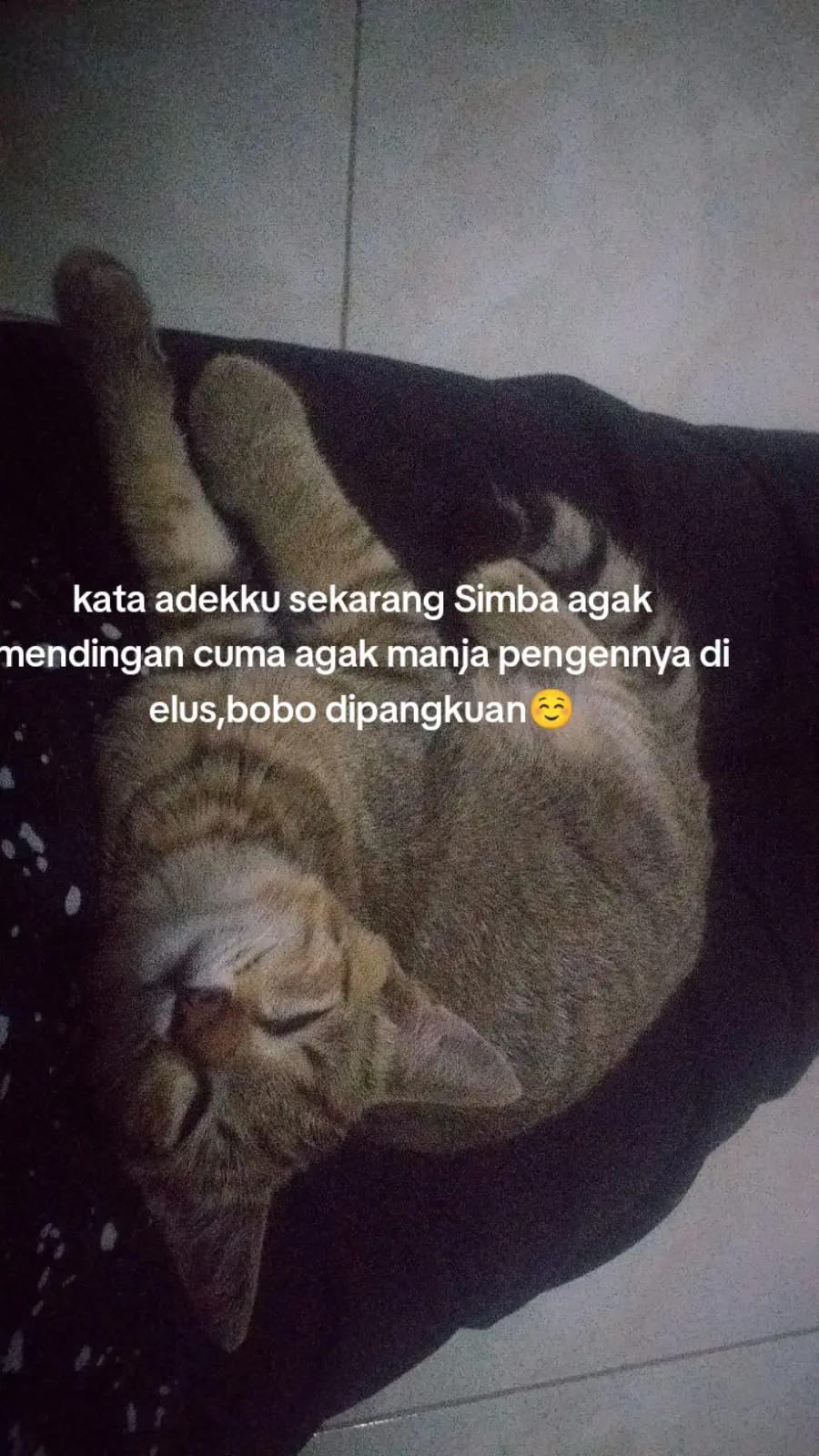 @Lina herlina