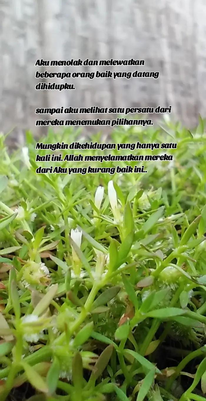 @Isma z.ta