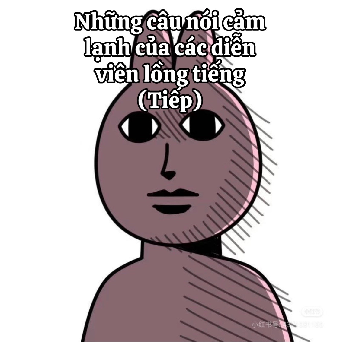@Suwani