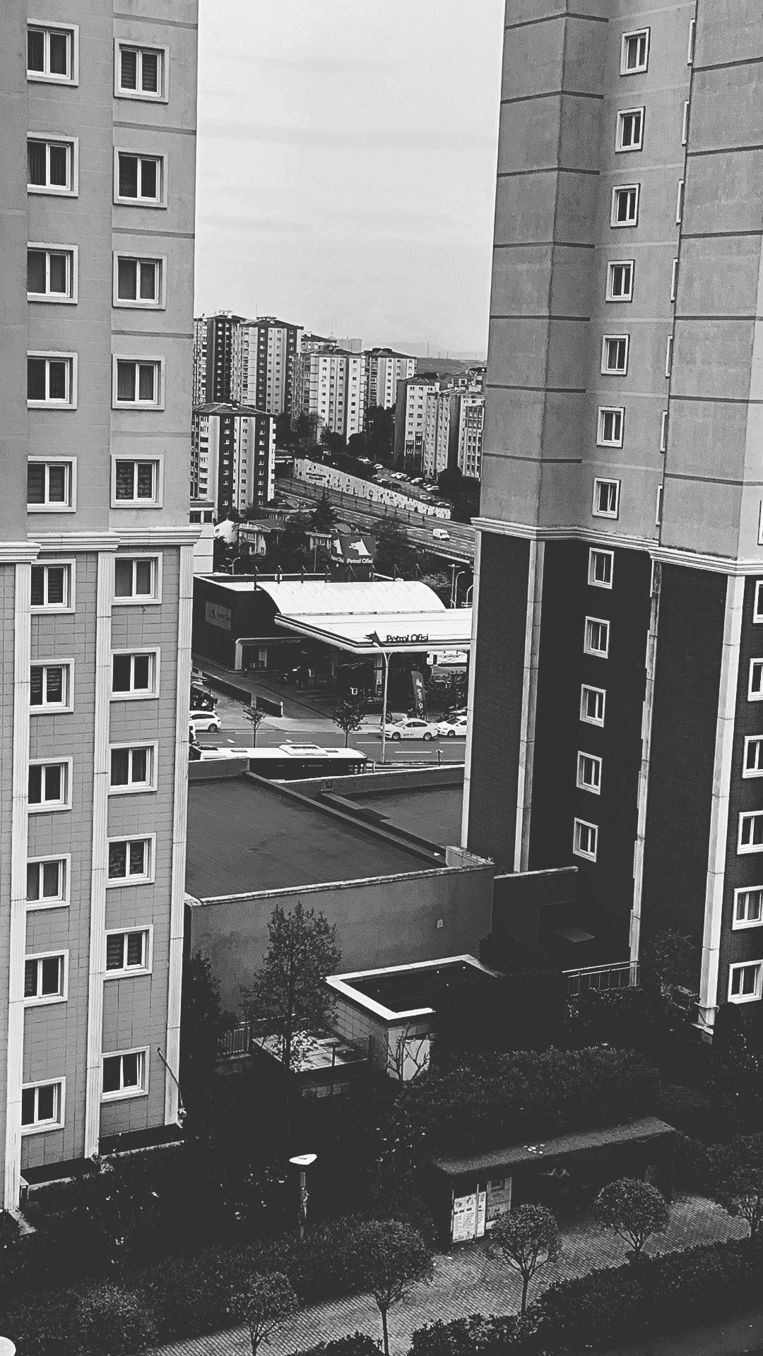 @mira&ccedil; miran