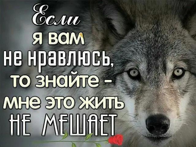 @liya 76