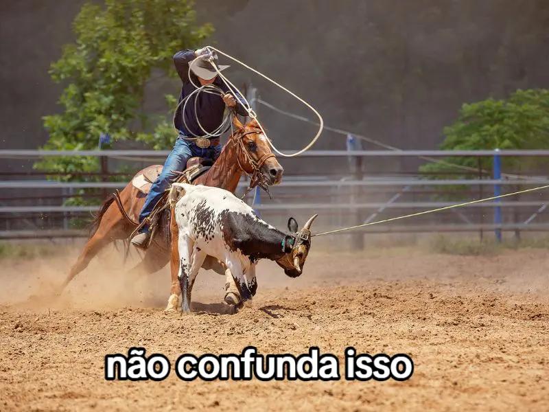 @Kauã Gabriel