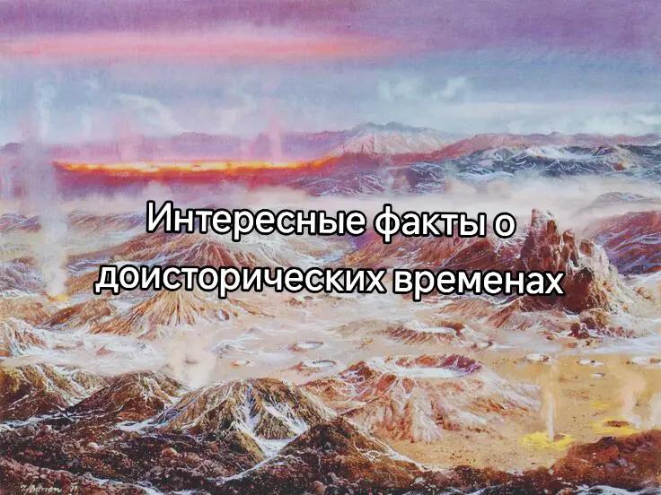 @Сендвич🕶