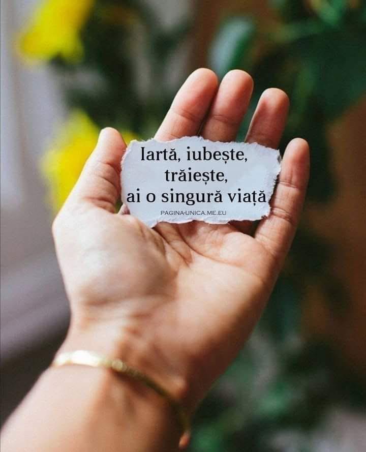 @Luci Luci