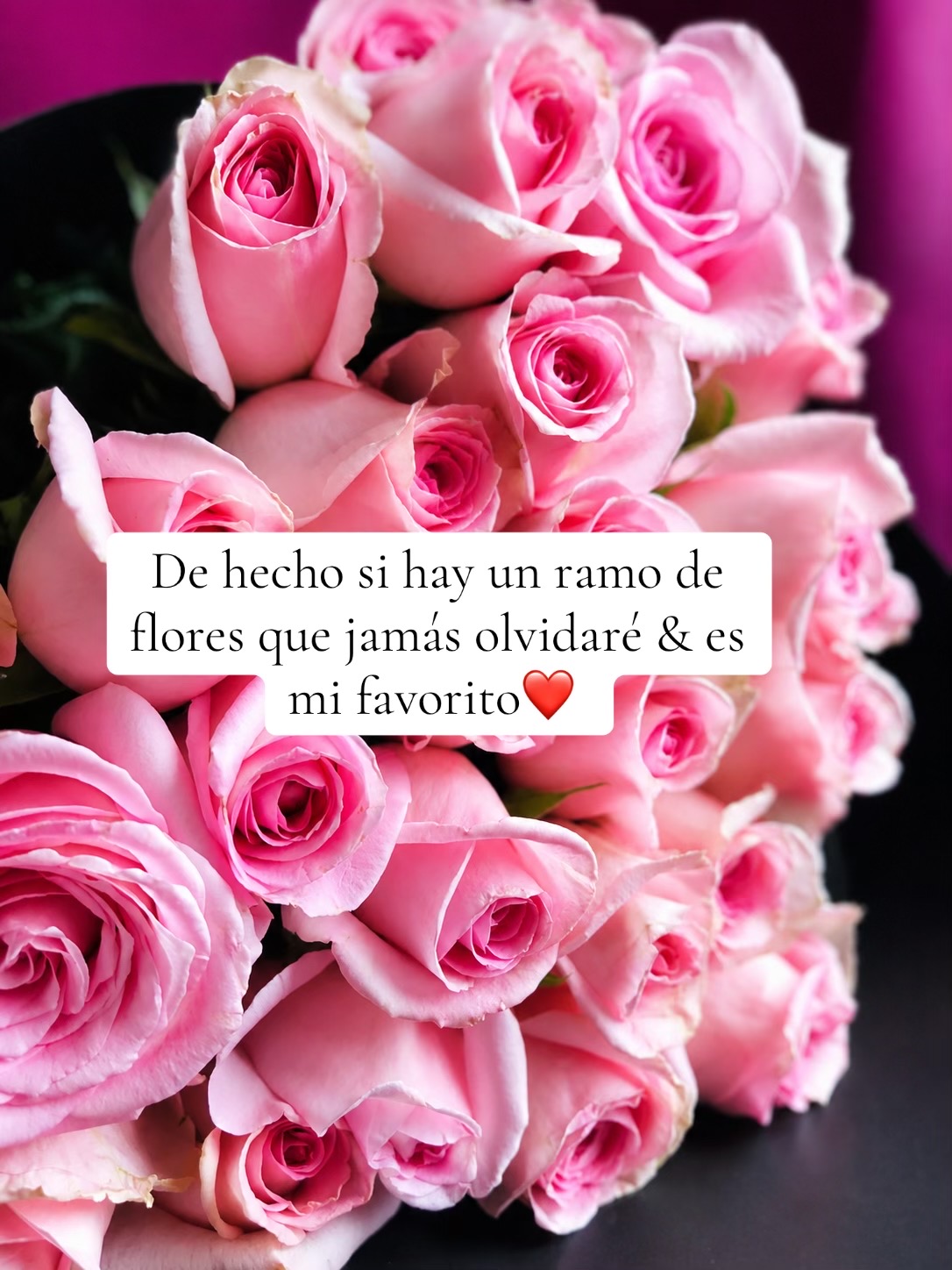 @Katherine VeSa🌵❤