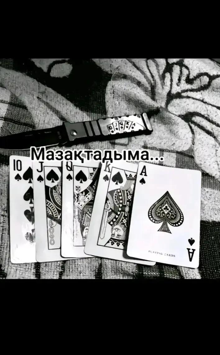 @Старшисын сын Qari ☠️