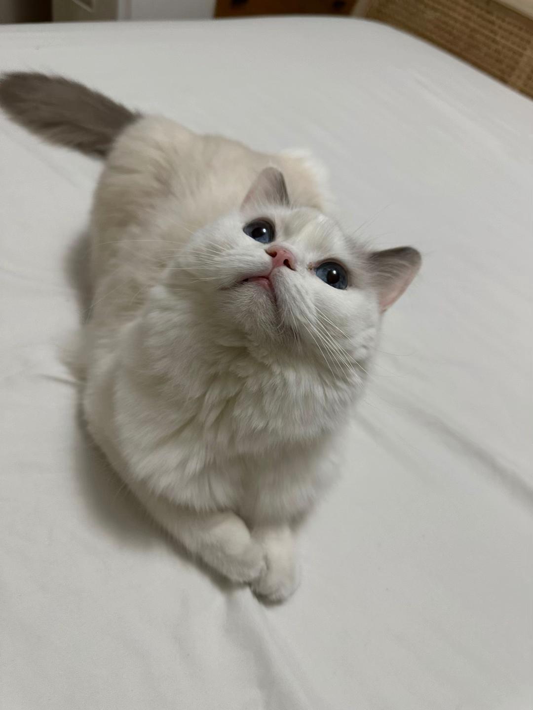 @Princess Yuna 😽