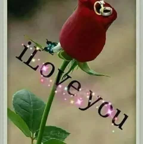 @ansari