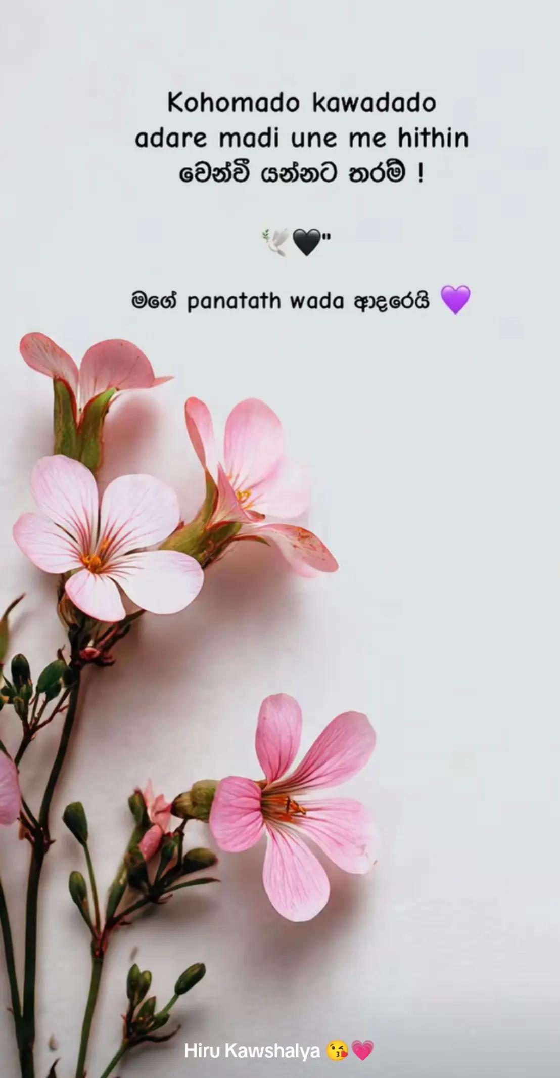 @Hiru Kawshalya😘💗