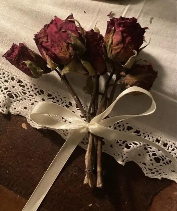 @°❀⋆BriBrii✪