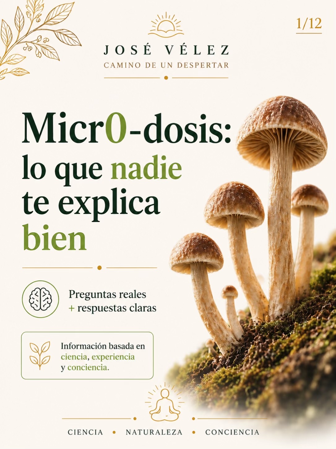 @José Vélez