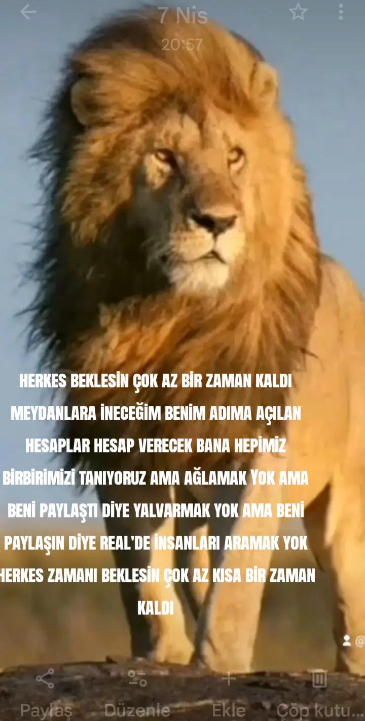 @48... 🇲 🇦 🇭 🇲 🇺 🇹 ...48