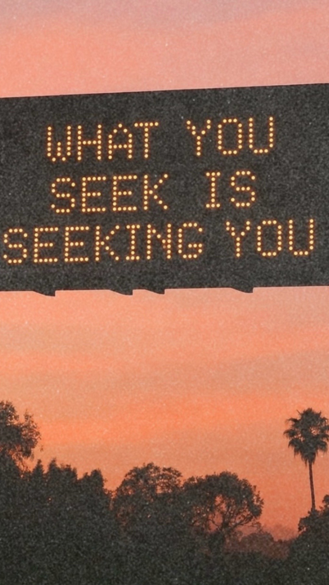 @Ariana West