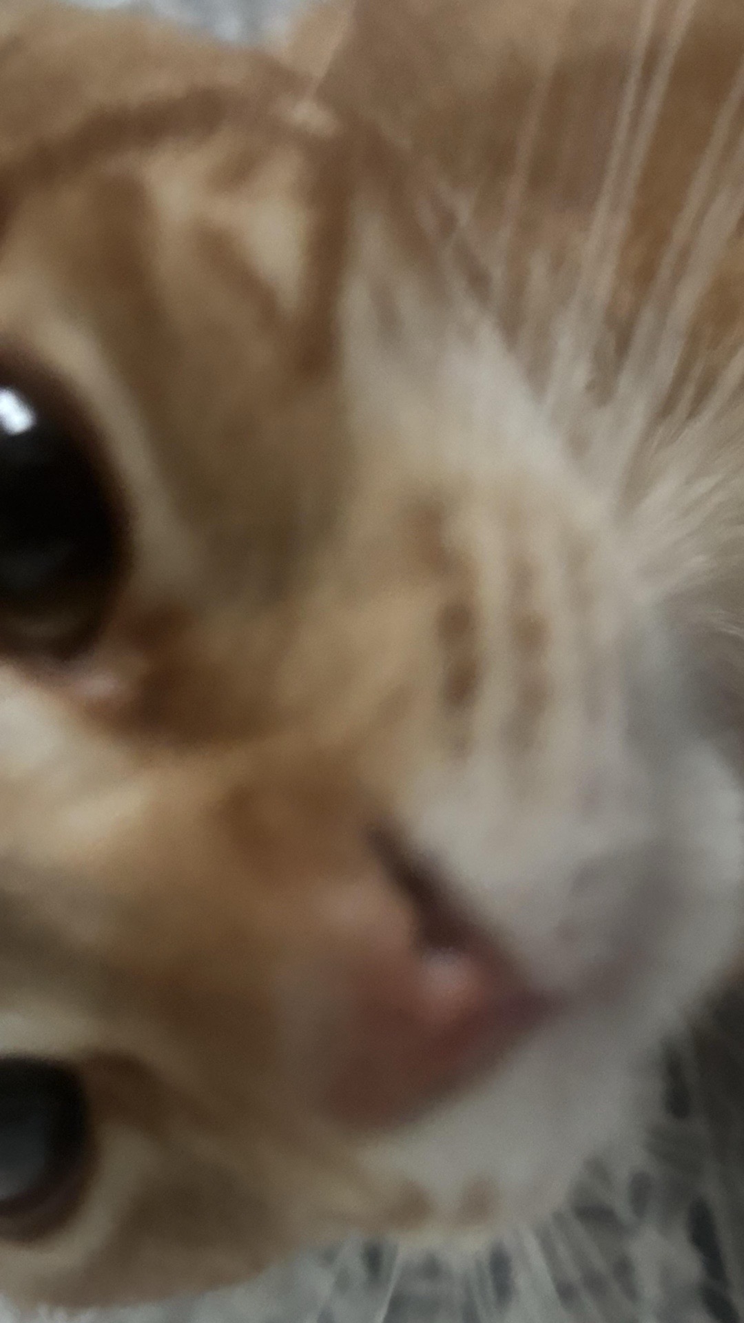 @爱