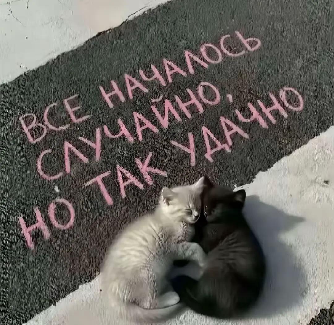 @𝕯𝖆𝖒𝖔𝖈𝖍𝖐𝖆