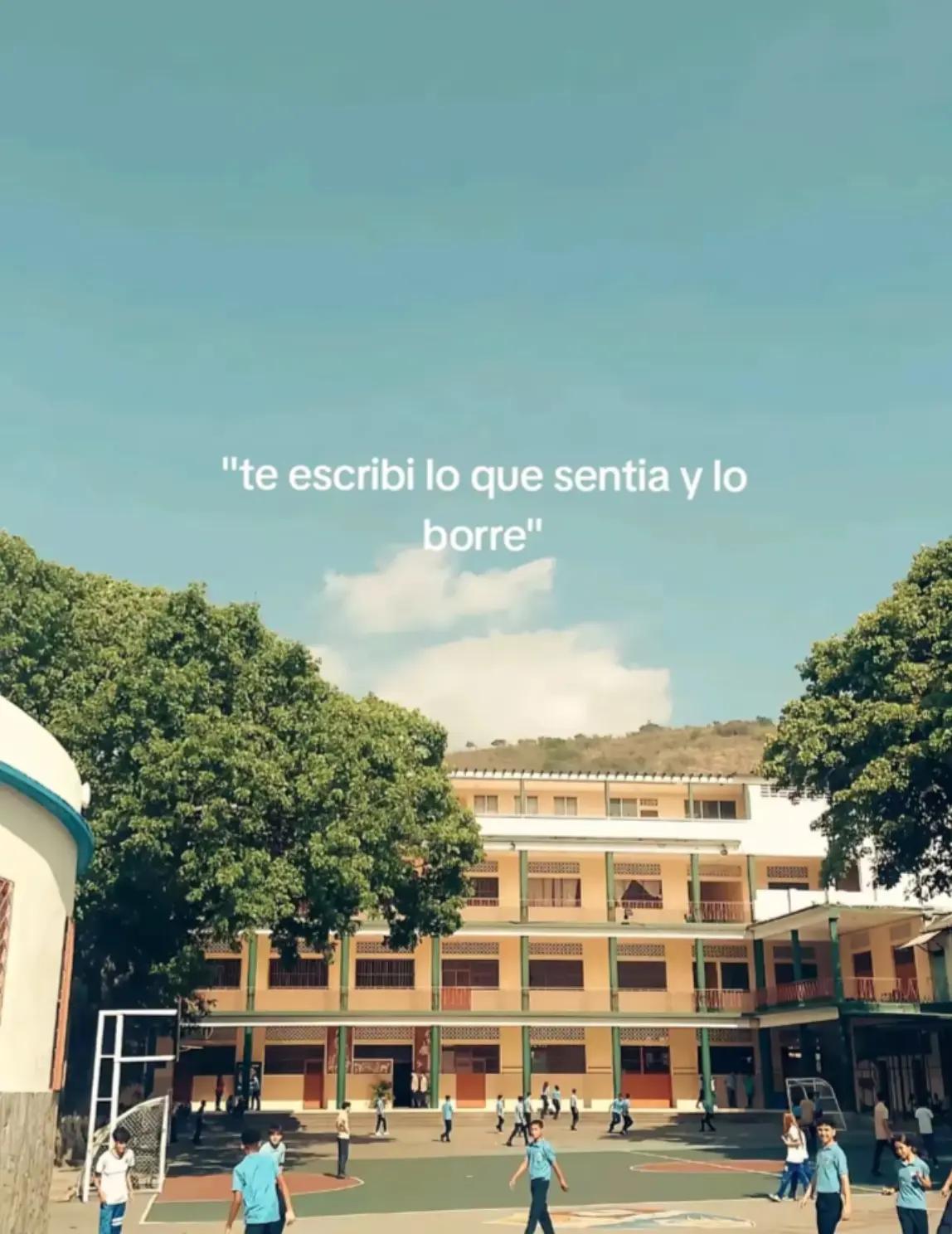 @Sofi🦕