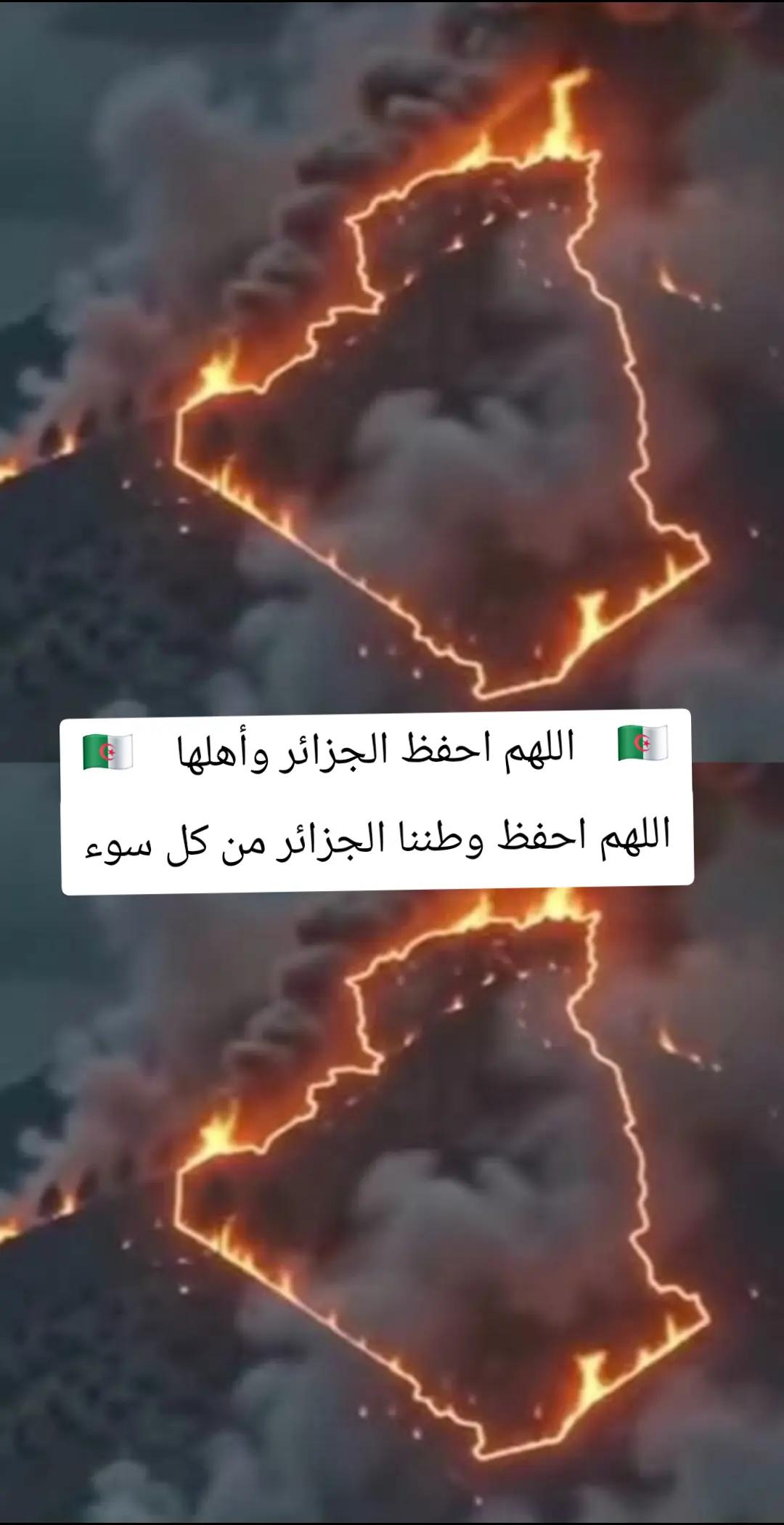 @زروالي _ سعيد 🇩🇿
