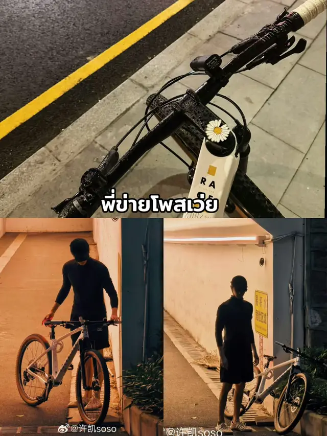 @แมวน้อย กับปลาไผ่