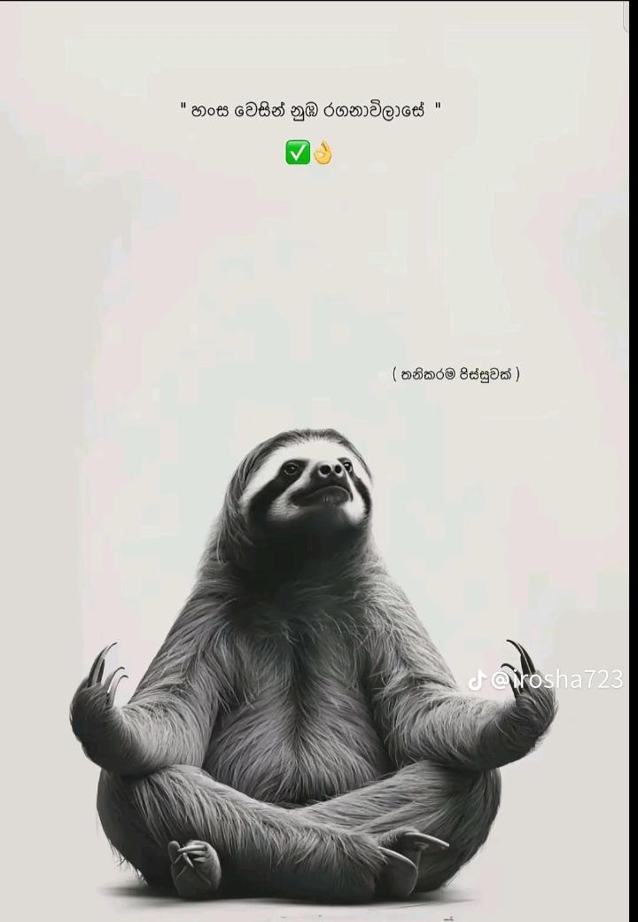 @සුදු බේබි 😈 ( ශේශා 🐍)😁