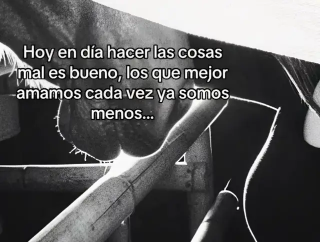 @🐬🐎🐍Rosy Romero 🪽🪽🦚🦩