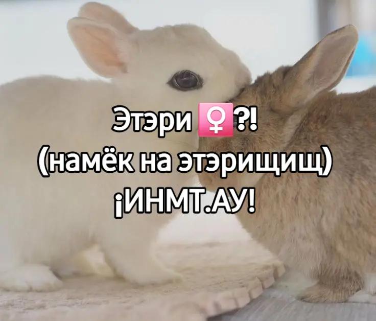 @чокопао 🍅