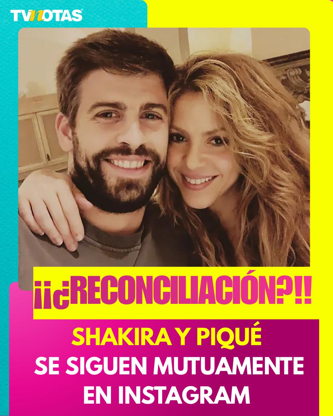 @Revista TVNotas