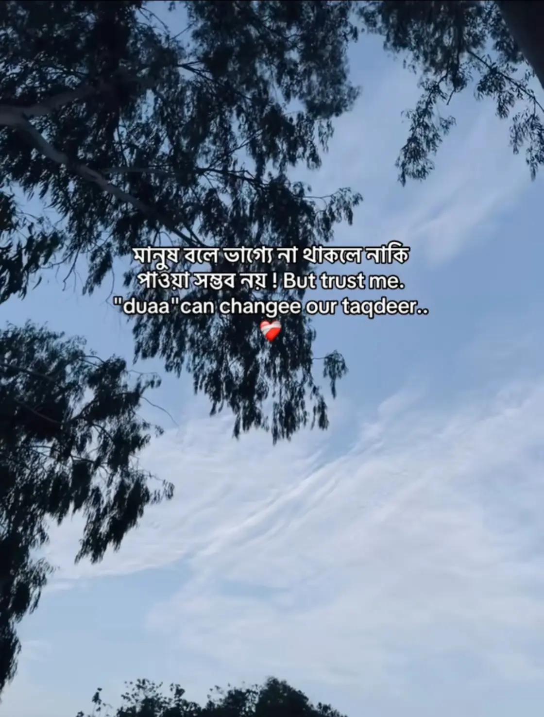 @Ahmed hasan.🕊️✨