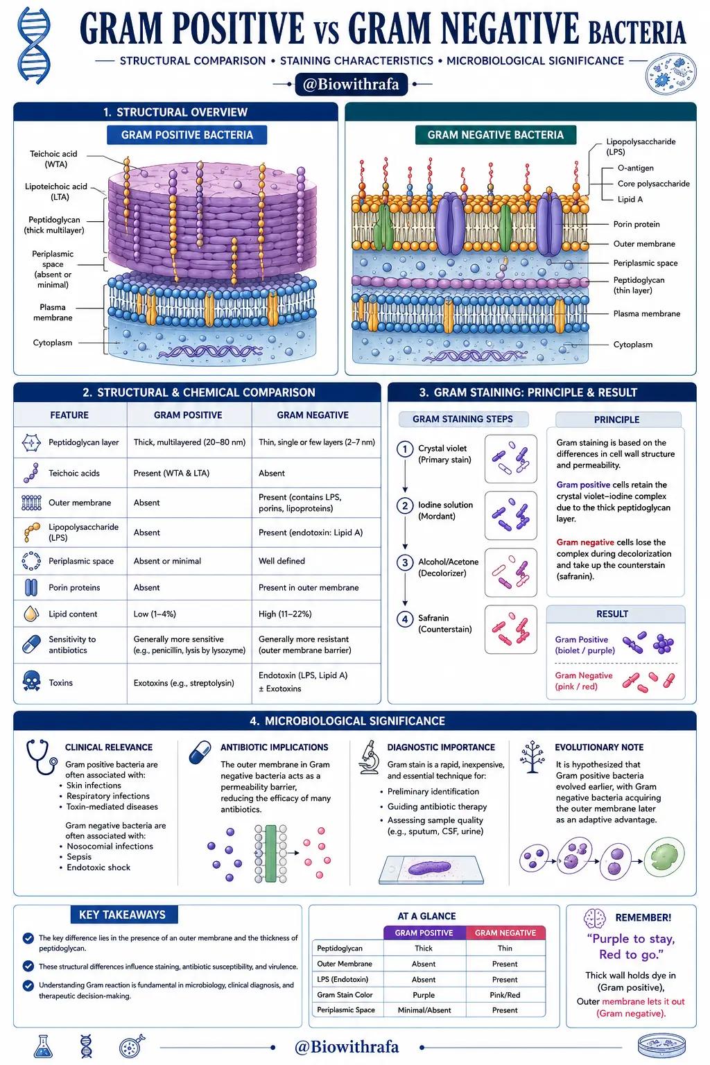 @📚🔬Biowithrafa 🧬🧫