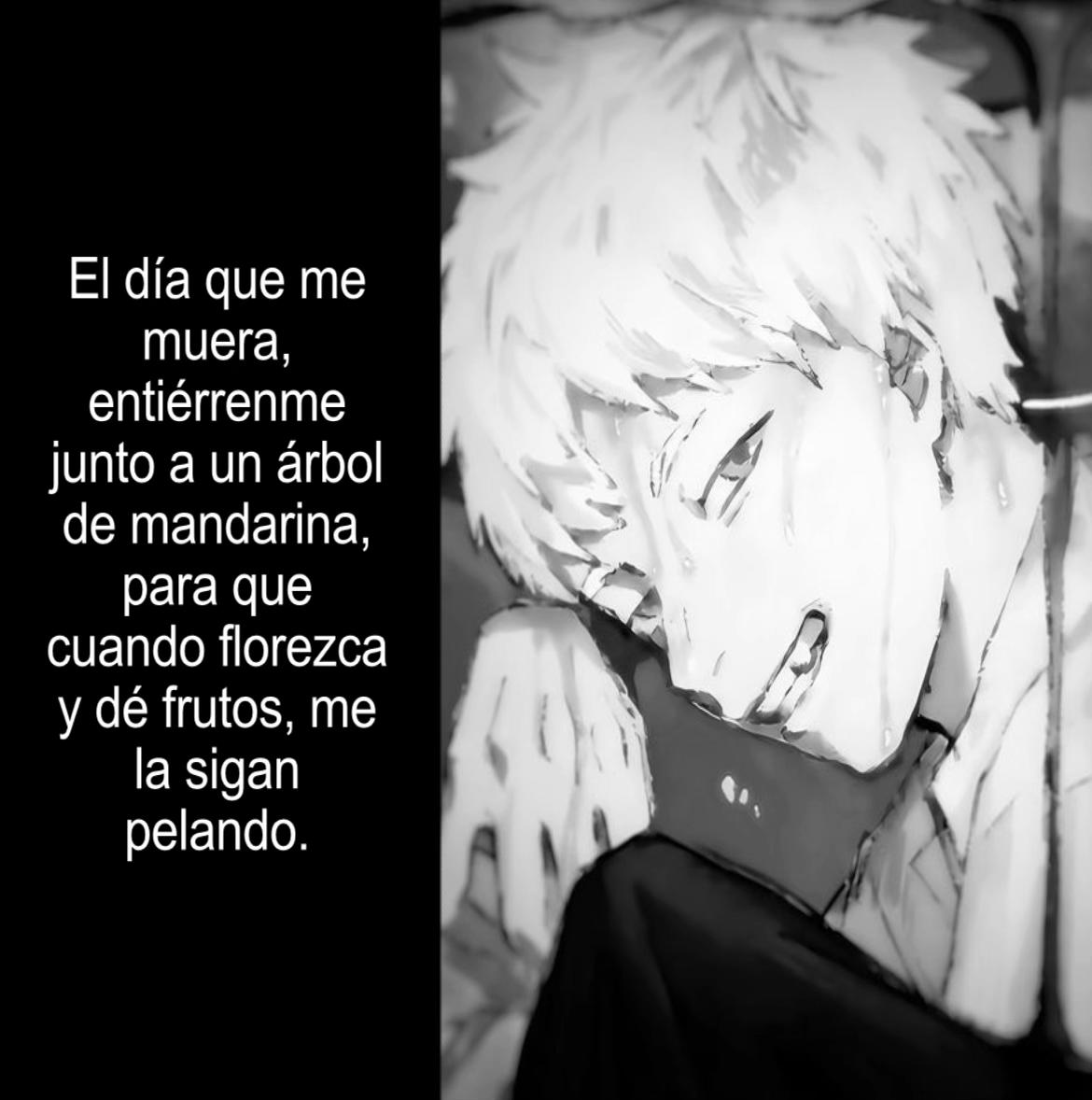 @✿ &nbsp; : &nbsp; 𝓜eni  ៶  ୨୧ꞌ