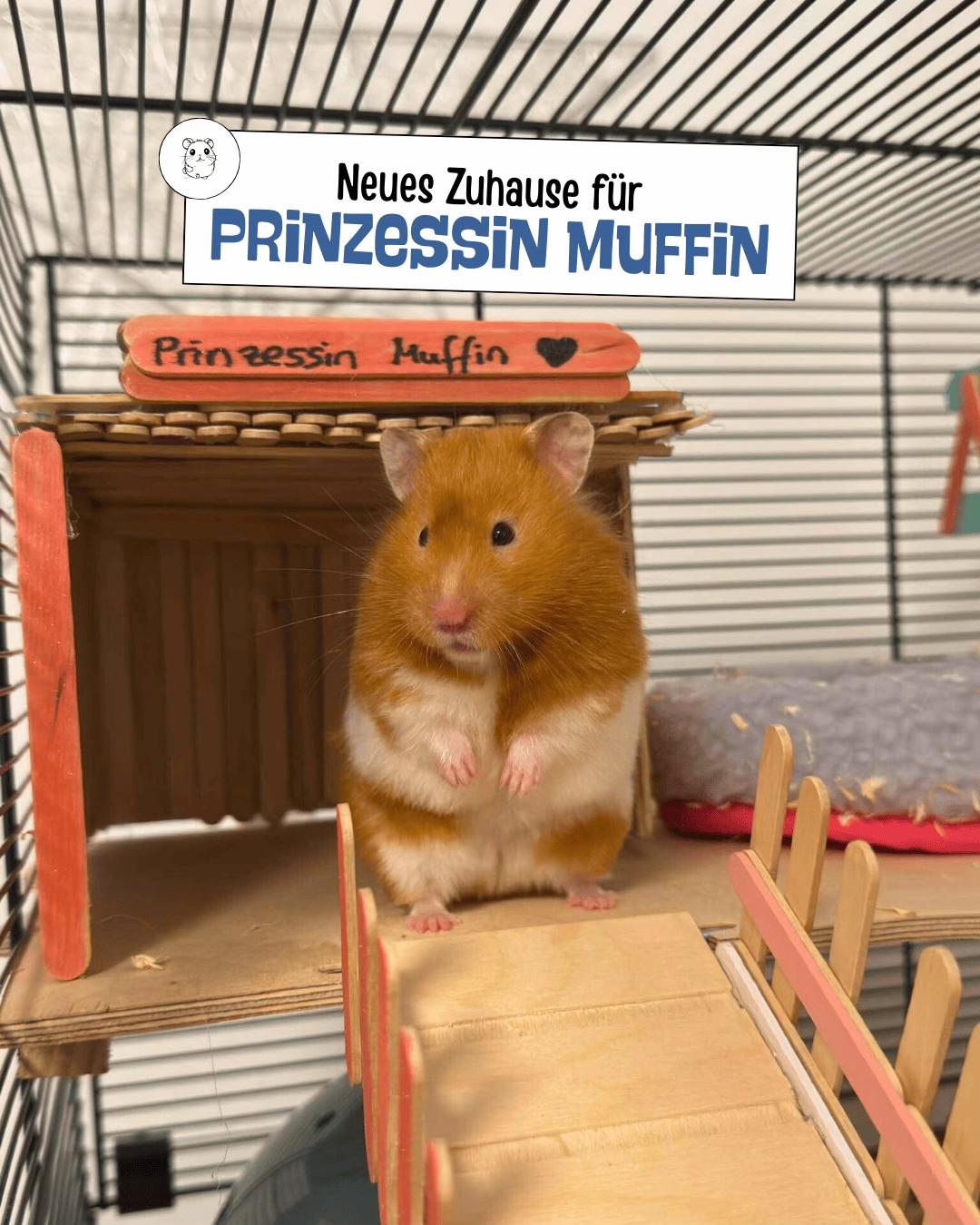 @Tierheim_Bremerhaven