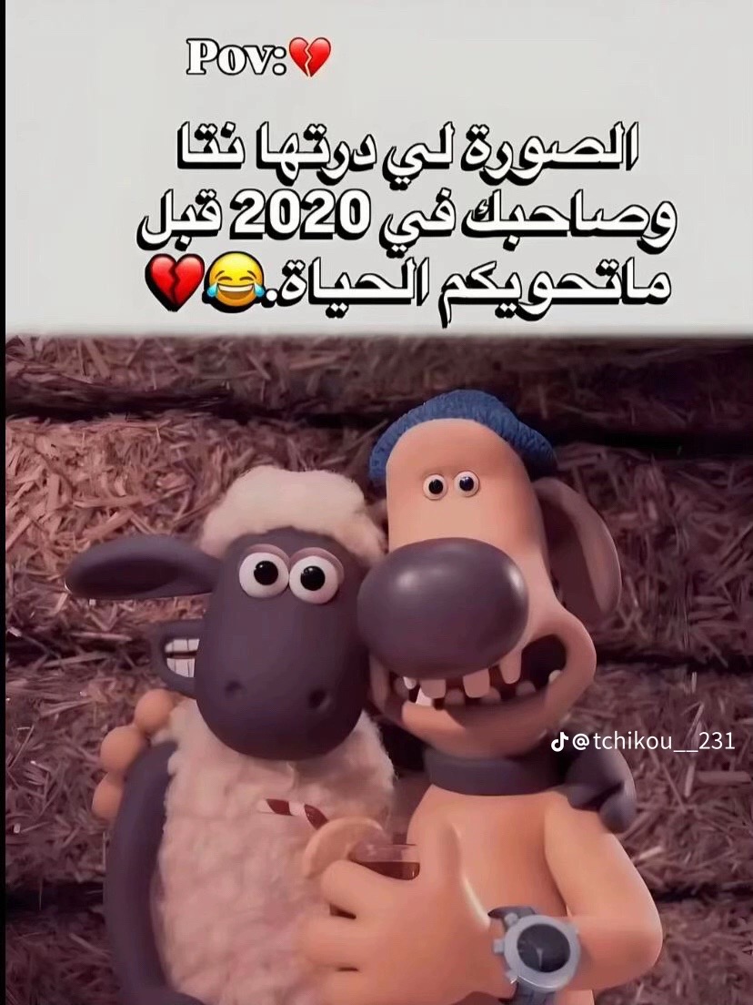 @v1_amiine🪽